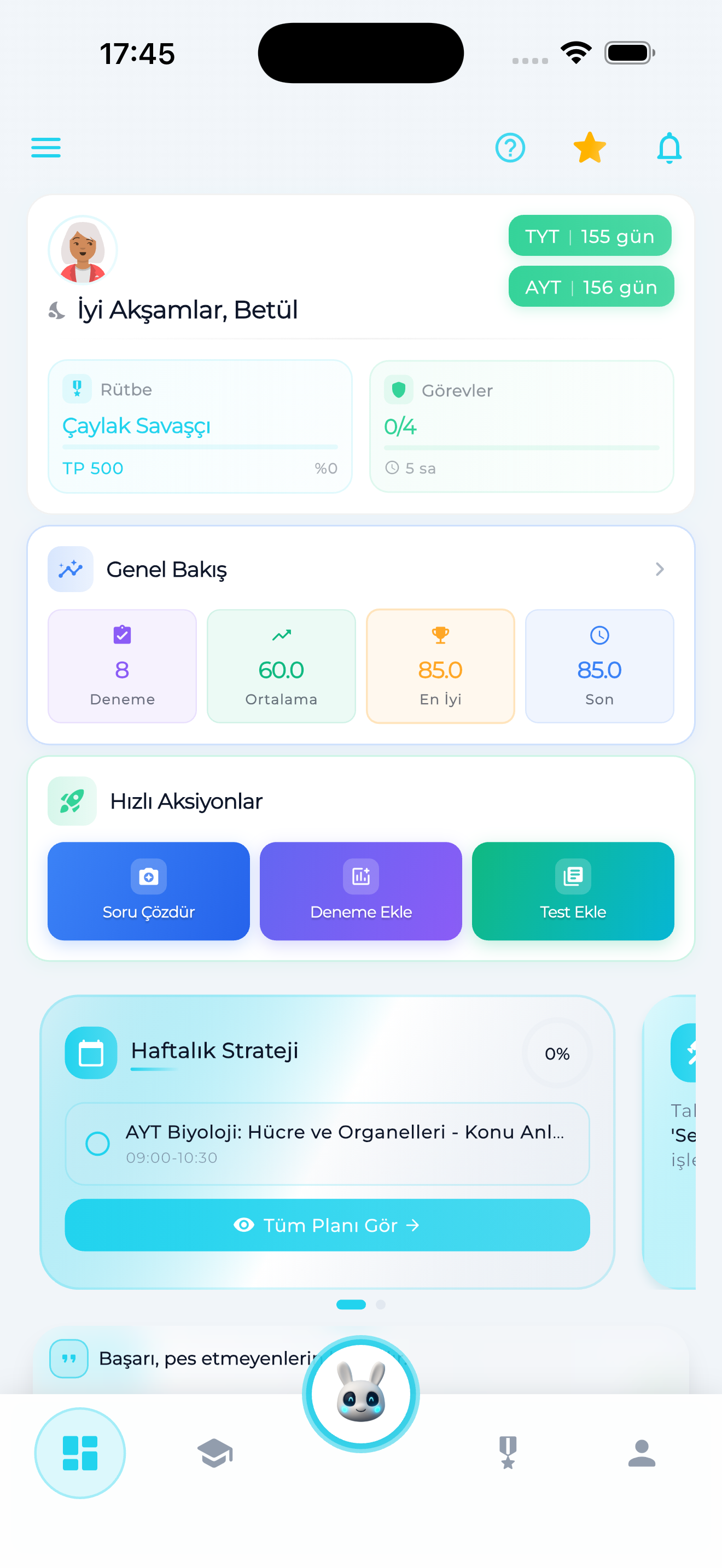 Taktik Uygulama Arayüzü